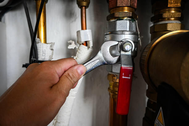 Best Hot Water Heater Installation  in Trafalgar, IN